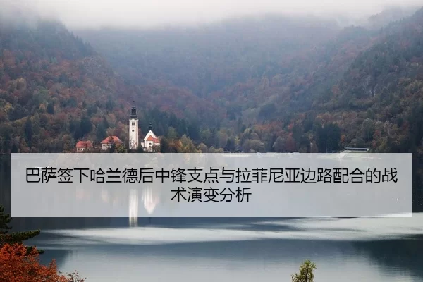 ba-sa-qian-xia-ha-lan-de-hou-zhong-feng-zhi-dian-yu-la-fei-ni-ya-bian-lu-pei-he-de-zhan-shu-yan-bian-fen-xi-2-359.jpg