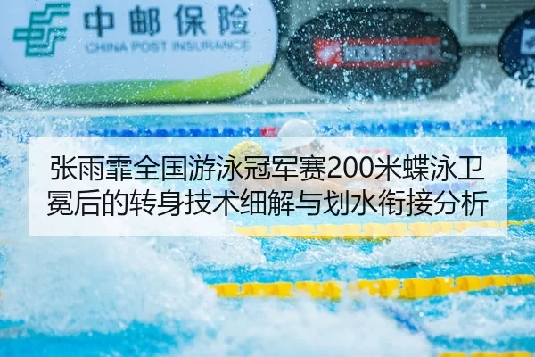 zhang-yu-fei-quan-guo-you-yong-guan-jun-sai-mi-die-yong-wei-mian-hou-de-zhuan-shen-ji-shu-xi-jie-yu-hua-shui-xian-jie-2-262.jpg